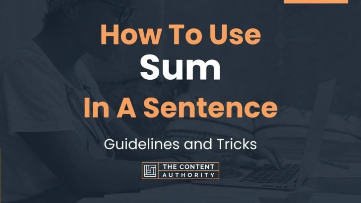 How To Use Sum In A Sentence Guidelines And Tricks