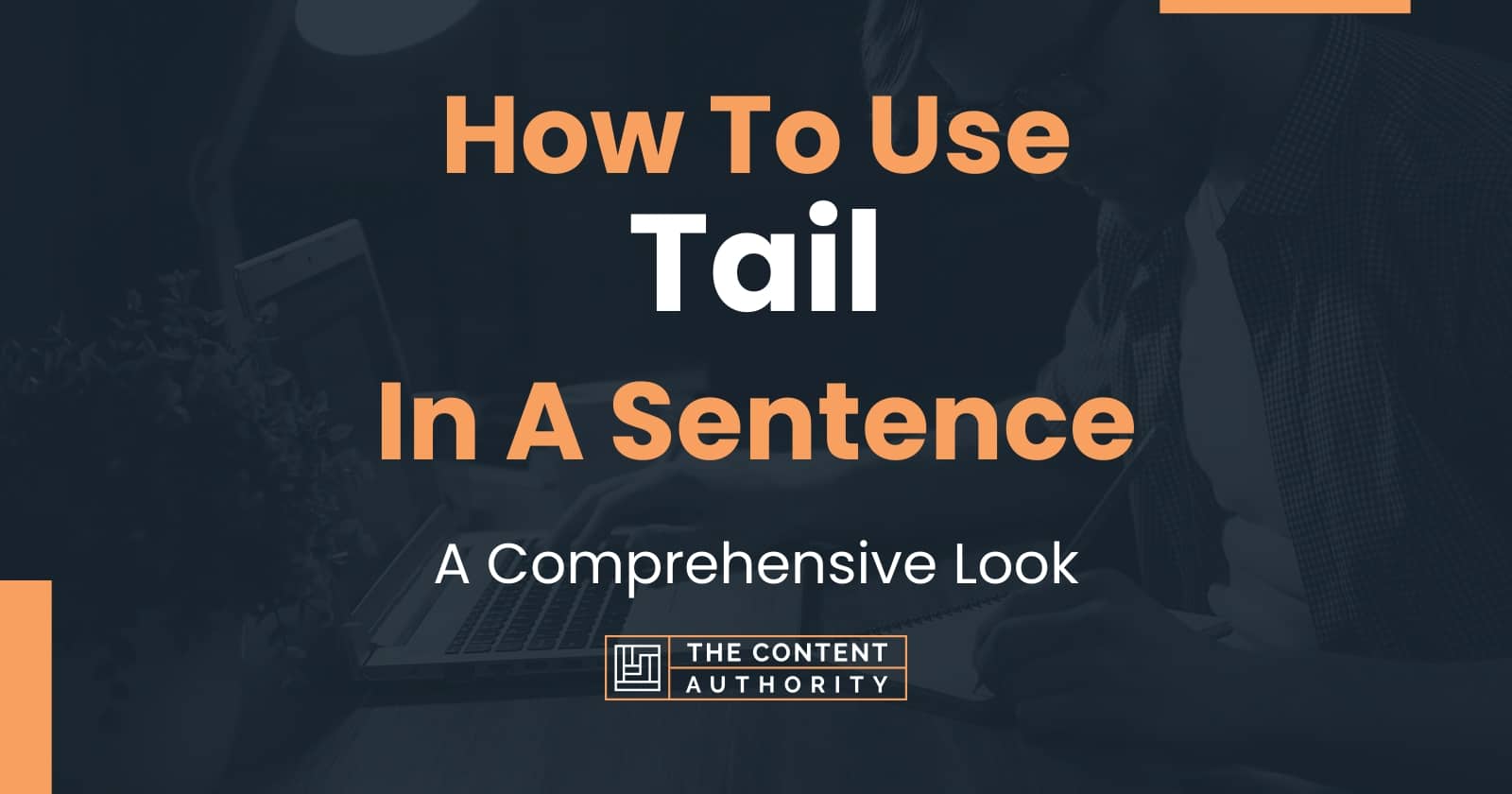 how-to-use-tail-in-a-sentence-a-comprehensive-look