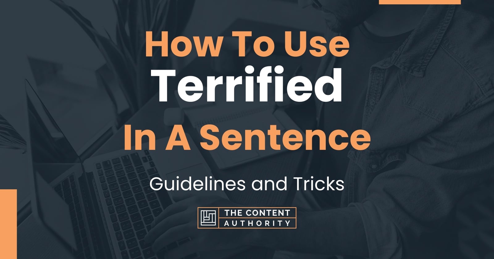 Use Terrified In A Sentence