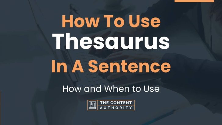 How To Use “Thesaurus” In A Sentence: How and When to Use