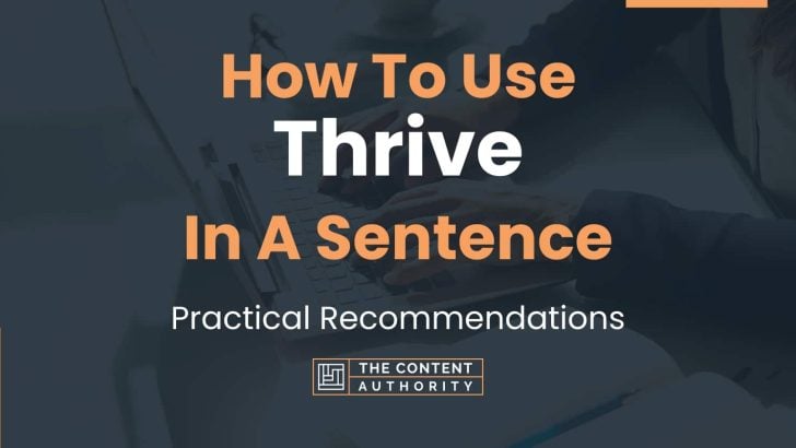 how-to-use-thrive-in-a-sentence-practical-recommendations