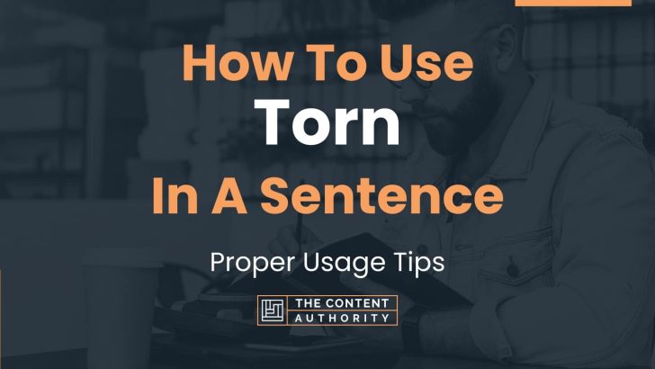 how-to-use-torn-in-a-sentence-proper-usage-tips