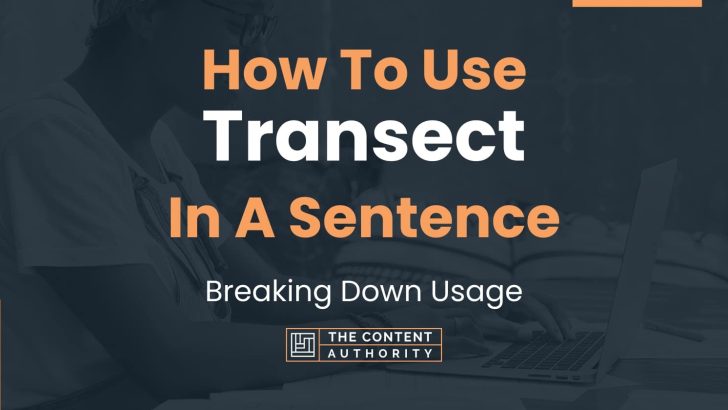 How To Use “Transect” In A Sentence: Breaking Down Usage