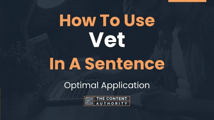How To Use “Vet” In A Sentence: Optimal Application