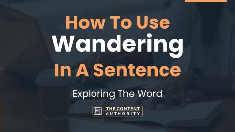 wandering meaning use in sentence