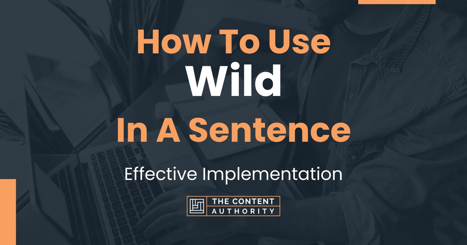 how-to-use-wild-in-a-sentence-effective-implementation