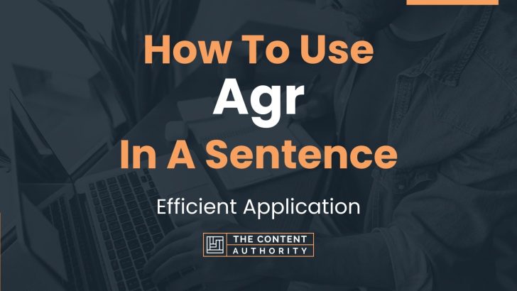 how-to-use-agr-in-a-sentence-efficient-application