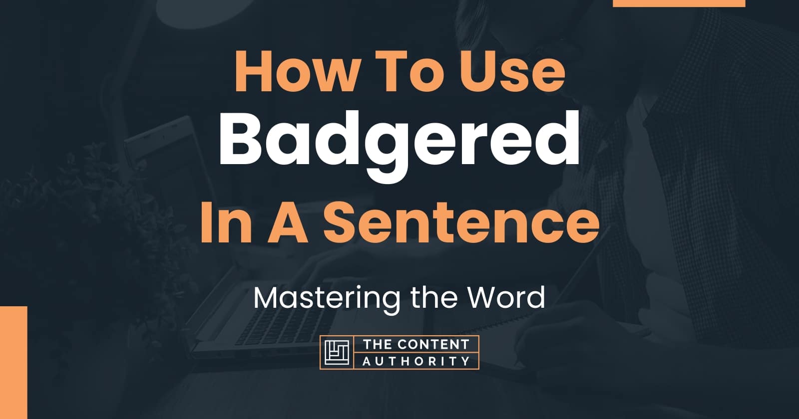 how-to-use-badgered-in-a-sentence-mastering-the-word