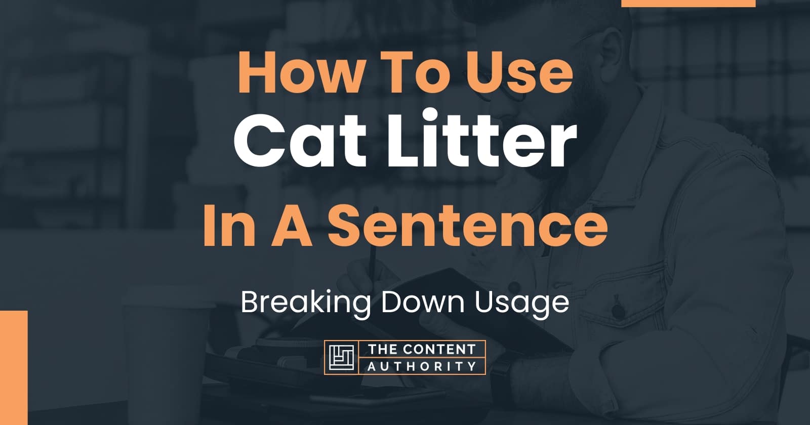 how-to-use-cat-litter-in-a-sentence-breaking-down-usage