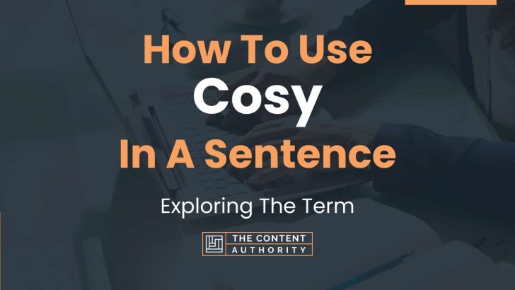 how-to-use-cosy-in-a-sentence-exploring-the-term