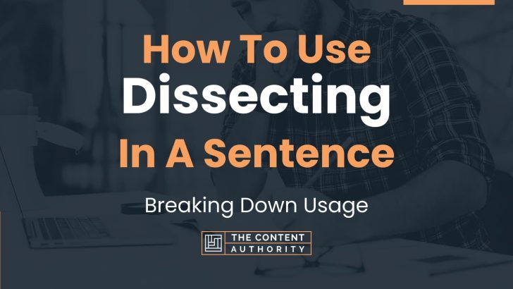 How To Use “Dissecting” In A Sentence: Breaking Down Usage