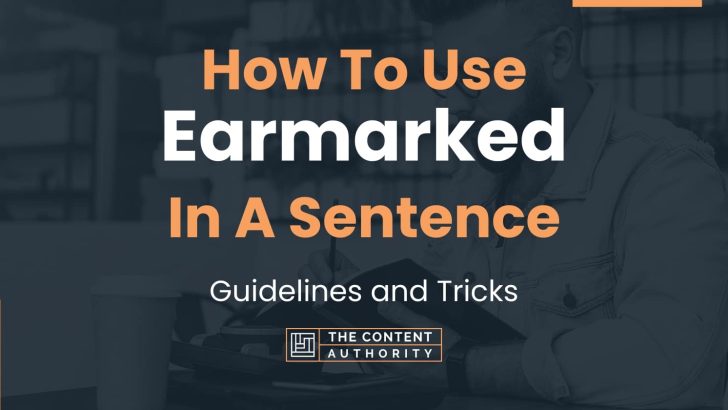 How To Use “Earmarked” In A Sentence: Guidelines and Tricks