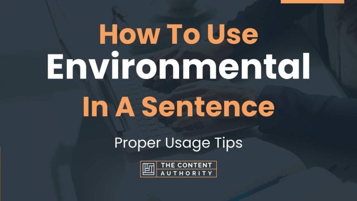 how-to-use-environmental-in-a-sentence-proper-usage-tips