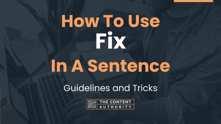 Fix In A Sentence