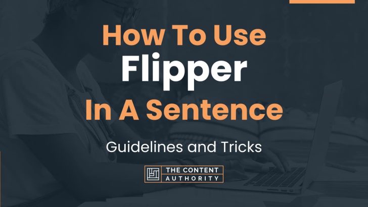 how-to-use-flipper-in-a-sentence-guidelines-and-tricks