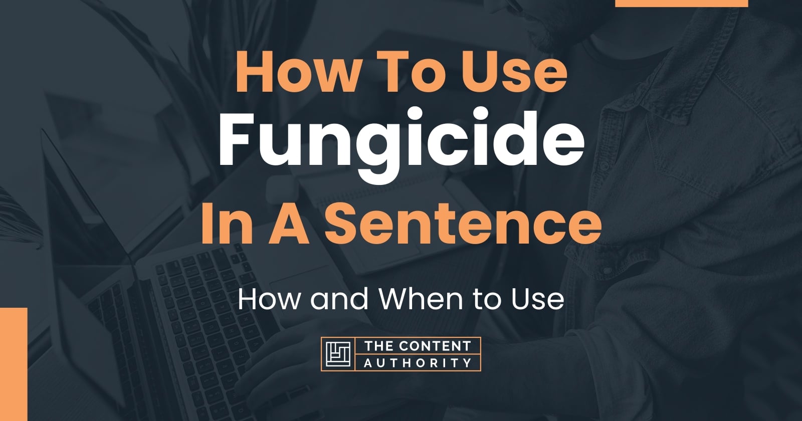 how-to-use-fungicide-in-a-sentence-how-and-when-to-use