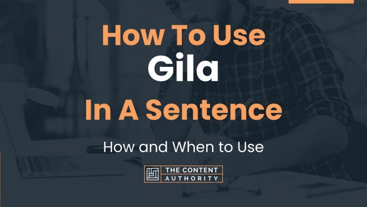 How To Use “Gila” In A Sentence: How and When to Use