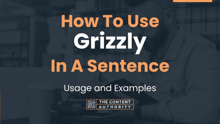 how-to-use-grizzly-in-a-sentence-usage-and-examples