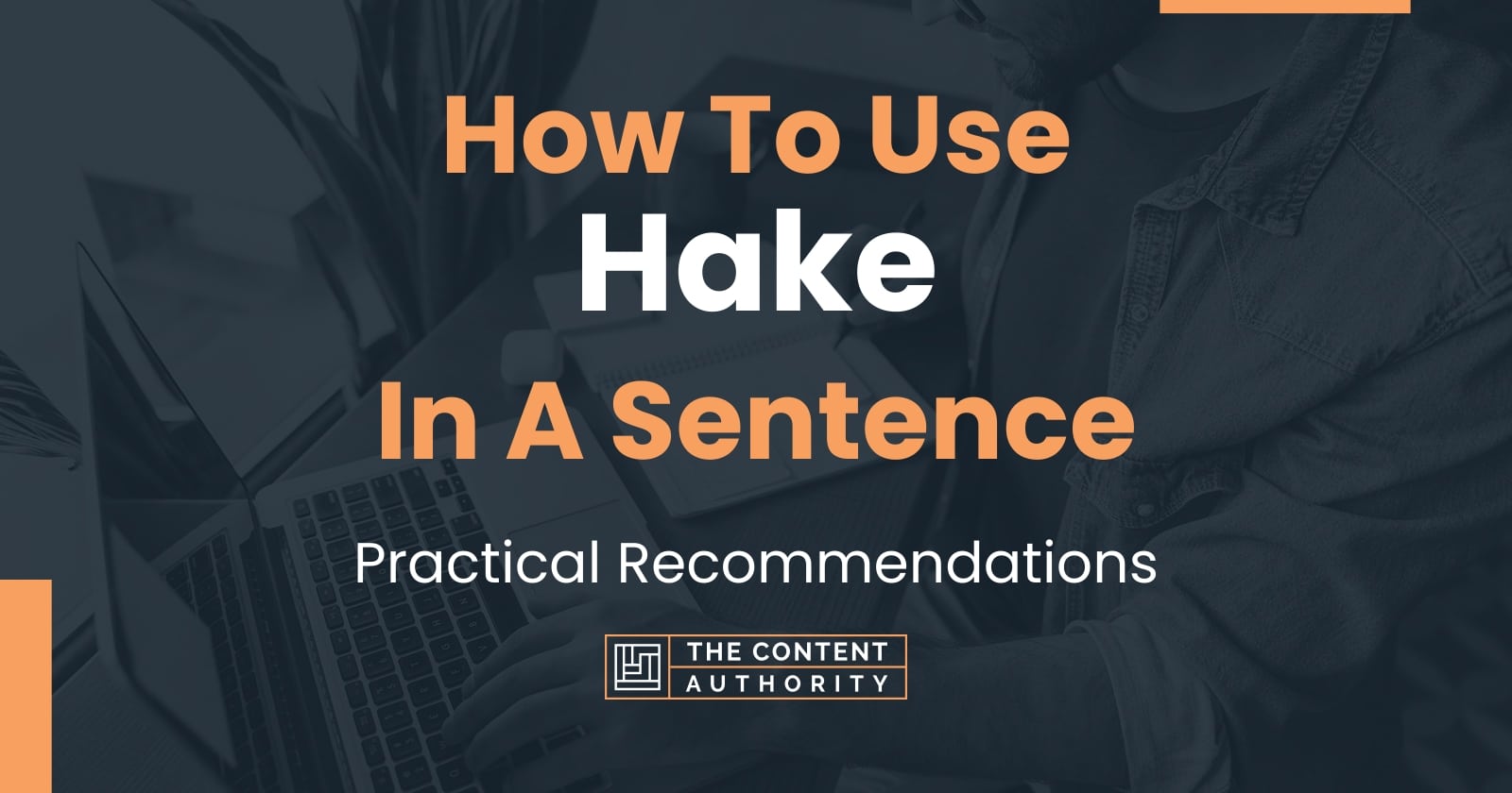 How To Use "Hake" In A Sentence Practical