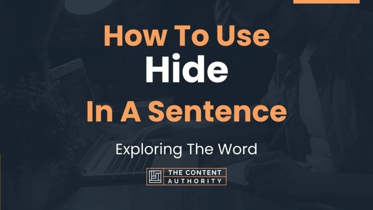 how-to-use-hide-in-a-sentence-exploring-the-word