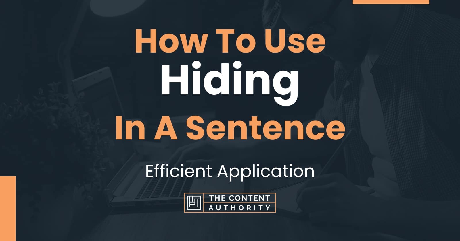 how-to-use-hiding-in-a-sentence-efficient-application