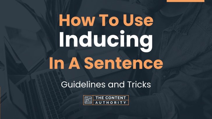 How To Use “Inducing” In A Sentence: Guidelines and Tricks