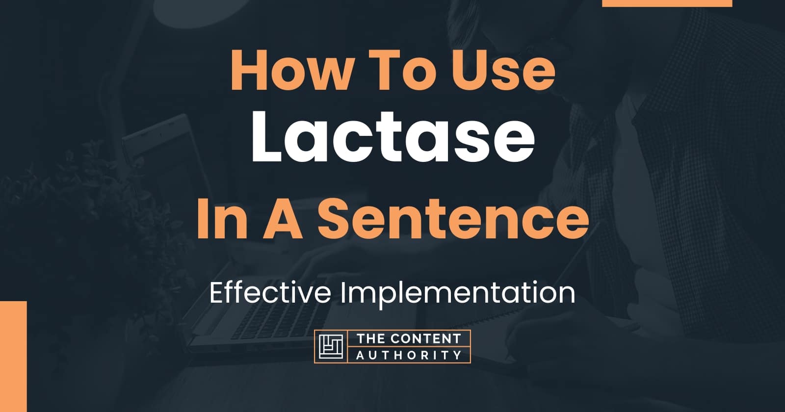 How To Use "Lactase" In A Sentence Effective Implementation