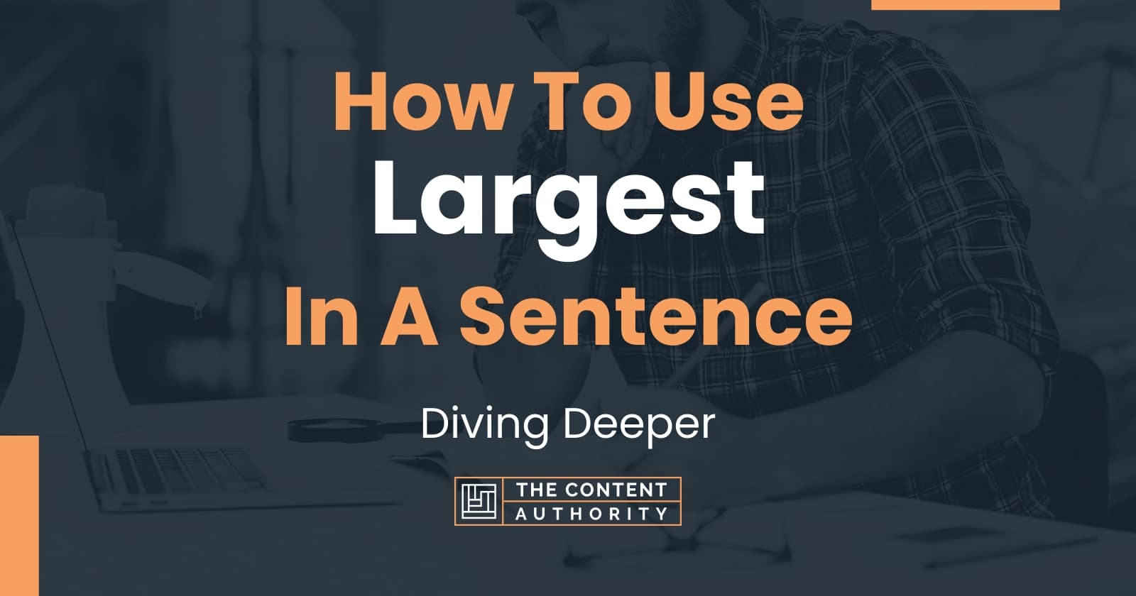 How To Use Largest In A Sentence Diving Deeper