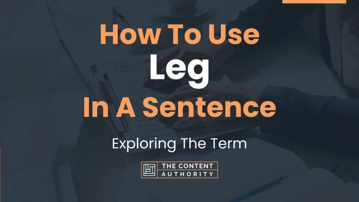 how-to-use-leg-in-a-sentence-exploring-the-term