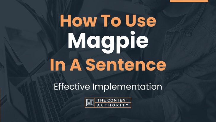 How To Use “Magpie” In A Sentence: Effective Implementation
