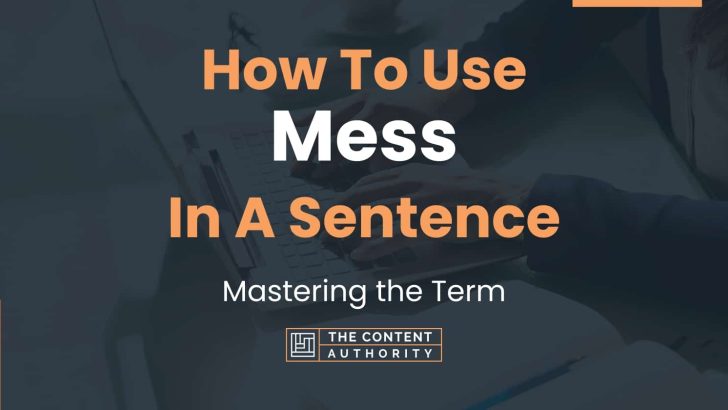 How To Use Mess In A Sentence Mastering The Term