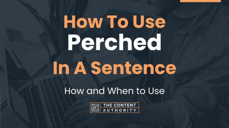 How To Use “Perched” In A Sentence: How and When to Use