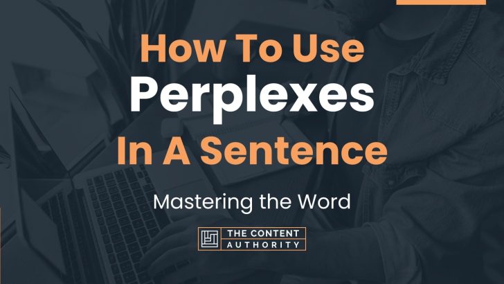 How To Use “Perplexes” In A Sentence: Mastering the Word