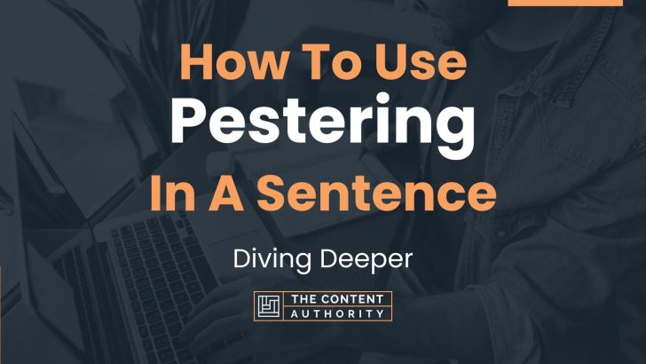 how-to-use-pestering-in-a-sentence-diving-deeper