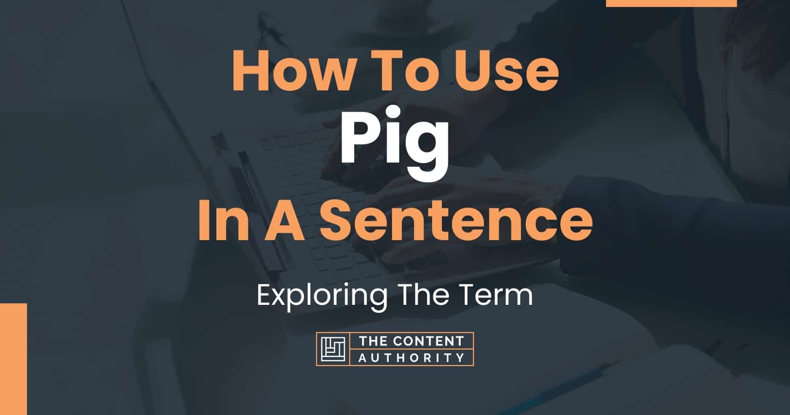 How To Use Pig In A Sentence Exploring The Term