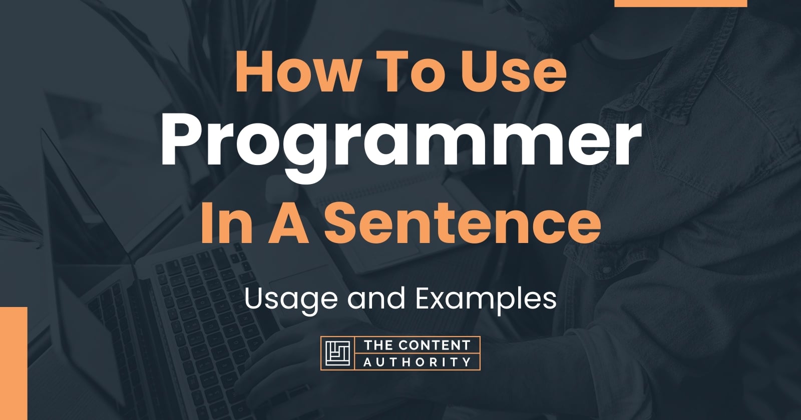 How To Use "Programmer" In A Sentence Usage and Examples