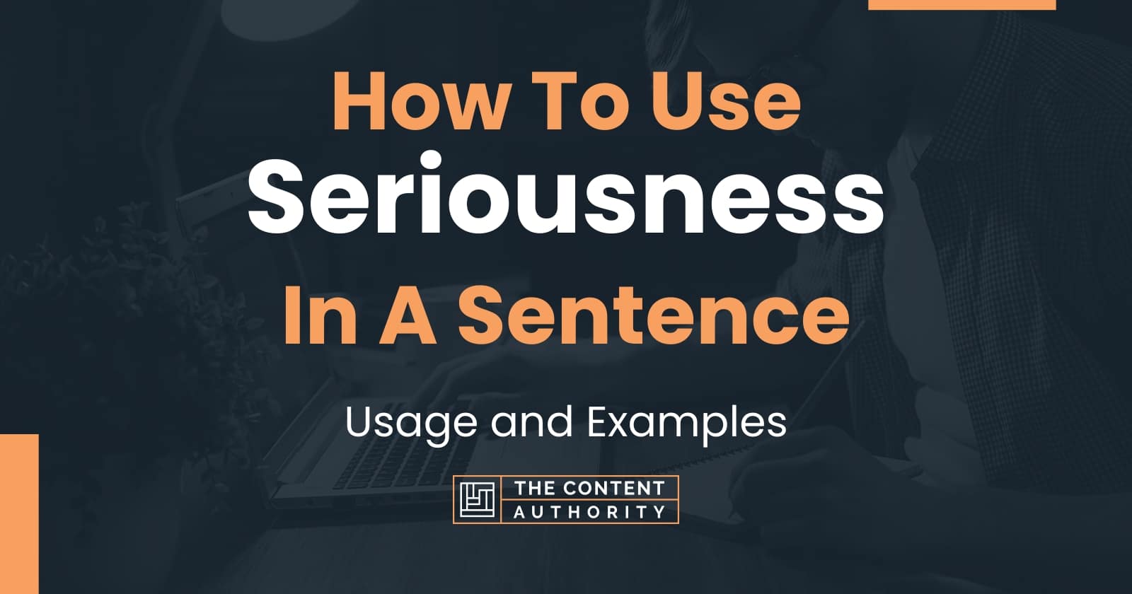 how-to-use-seriousness-in-a-sentence-usage-and-examples