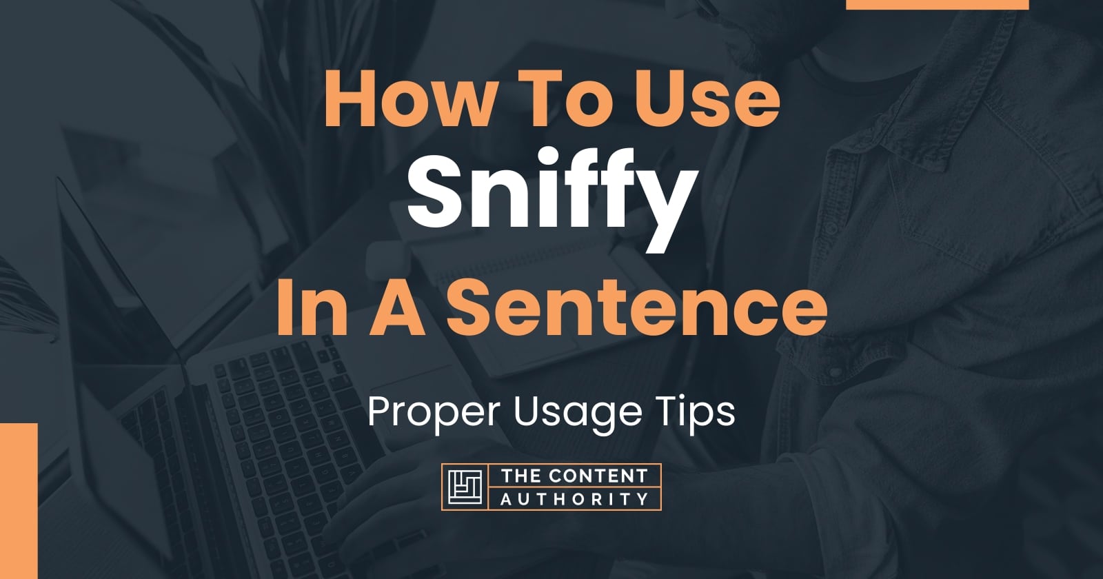 how-to-use-sniffy-in-a-sentence-proper-usage-tips