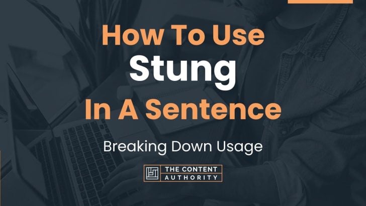 how-to-use-stung-in-a-sentence-breaking-down-usage