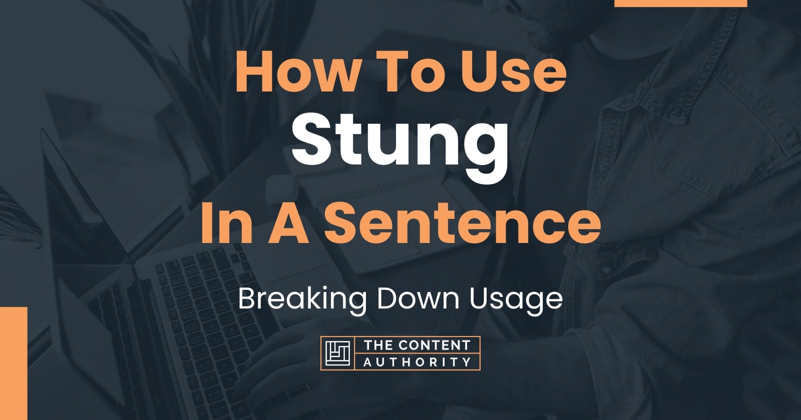 how-to-use-stung-in-a-sentence-breaking-down-usage