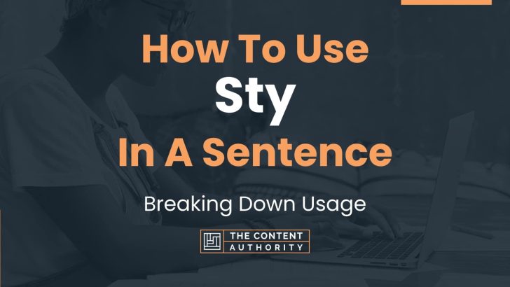 How To Use “Sty” In A Sentence: Breaking Down Usage