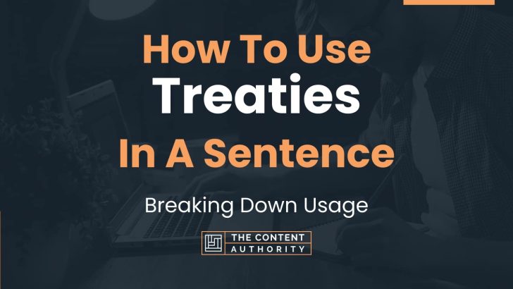 how-to-use-treaties-in-a-sentence-breaking-down-usage