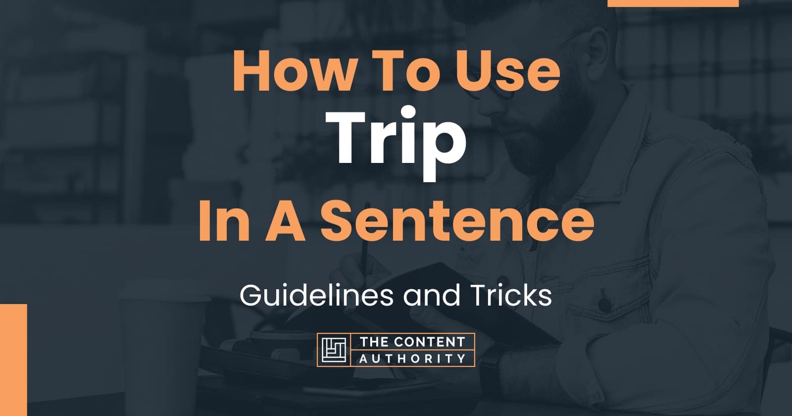 trip sentence make