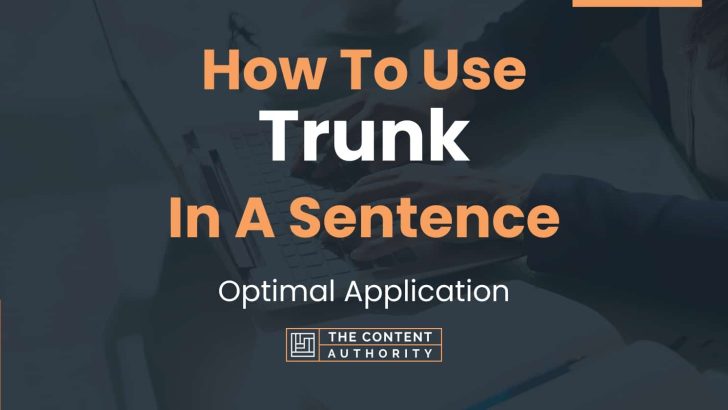 How To Use “Trunk” In A Sentence: Optimal Application