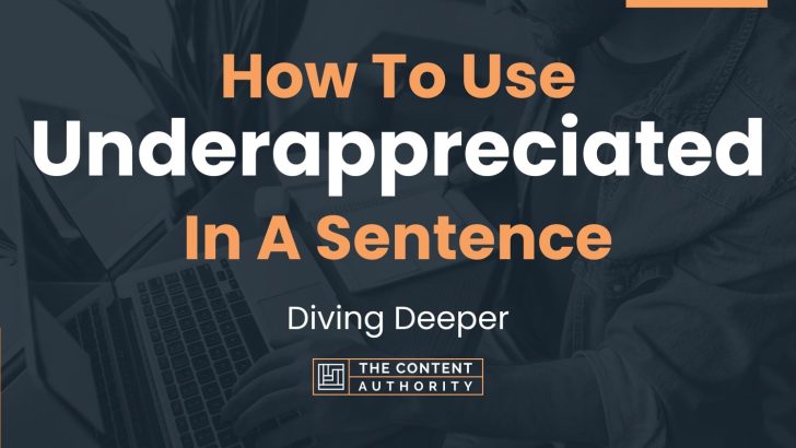 how to use underappreciated in a sentence