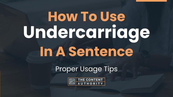 How To Use “Undercarriage” In A Sentence: Proper Usage Tips