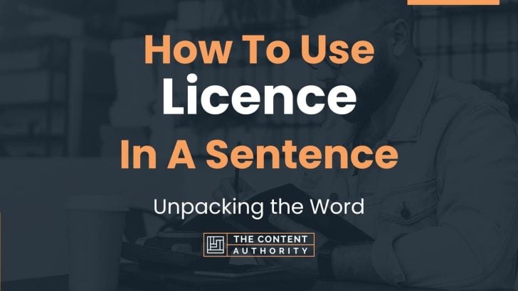 how-to-use-licence-in-a-sentence-unpacking-the-word