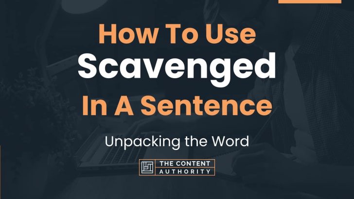 How To Use “Scavenged” In A Sentence: Unpacking the Word