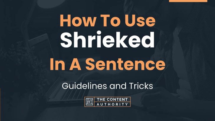 how-to-use-shrieked-in-a-sentence-guidelines-and-tricks