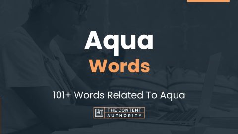 Aqua Words - 101+ Words Related To Aqua